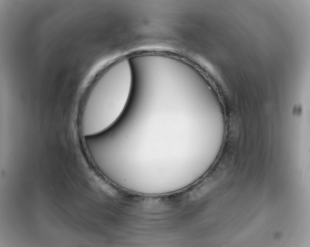 X0000102341408200808010902