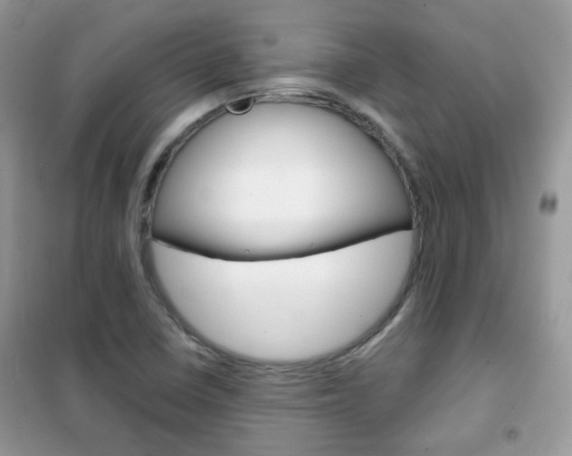 X0000102341410200808010902