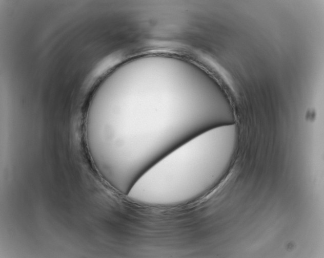 X0000102341411200808010902