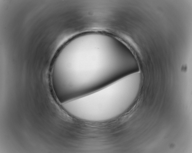 X0000102341412200808010902