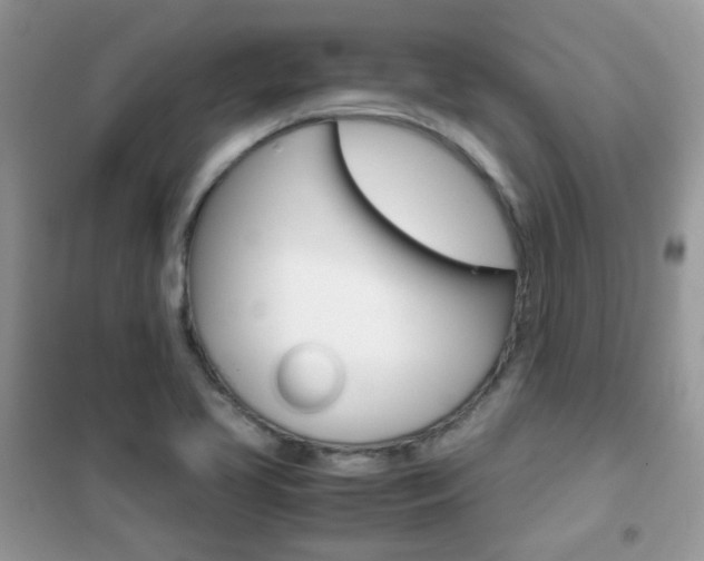X0000102341413200808010902