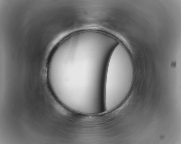 X0000102341414200808010902