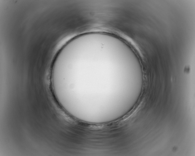 X0000102341415200808010902