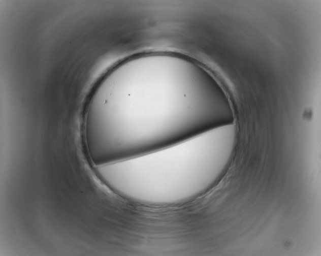 X0000102341416200808010902