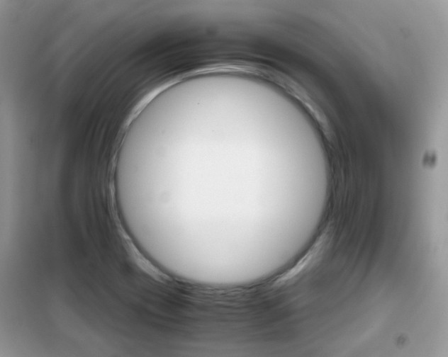 X0000102341417200808010902