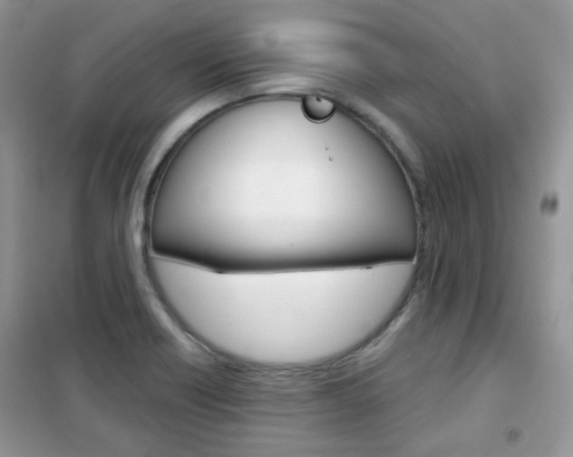 X0000102341418200808010902
