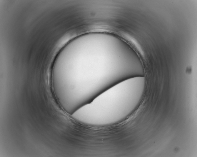 X0000102341419200808010902