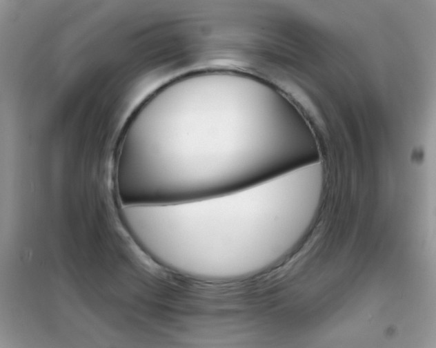 X0000102341420200808010902