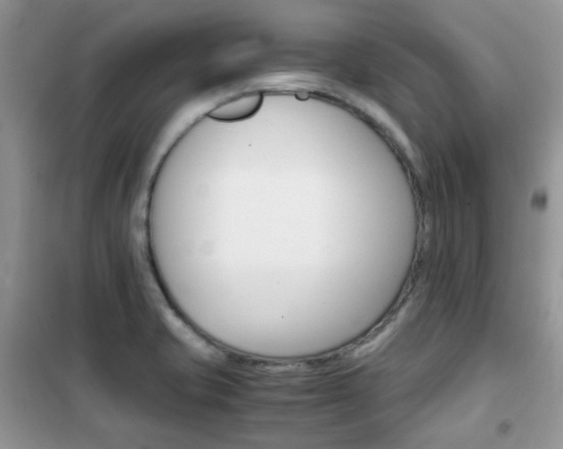 X0000102341421200808010902