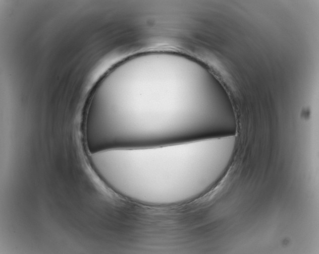 X0000102341422200808010902