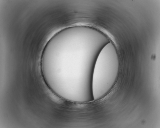 X0000102341423200808010902