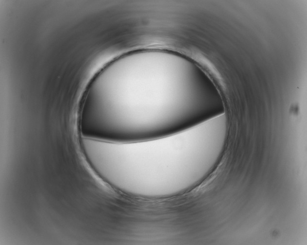 X0000102341424200808010902