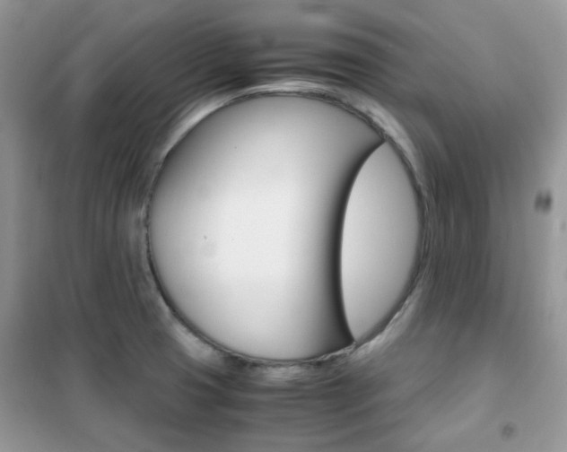 X0000102341425200808010902