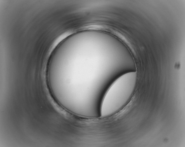 X0000102341426200808010902