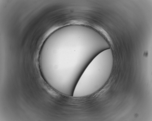 X0000102341427200808010902