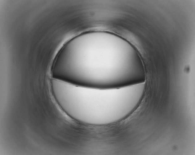X0000102341428200808010902