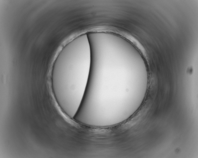 X0000102341429200808010902