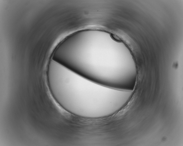 X0000102341430200808010902