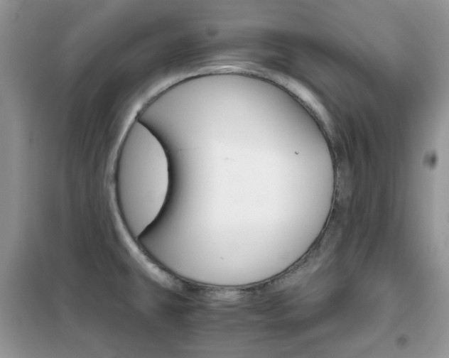 X0000102341431200808010902