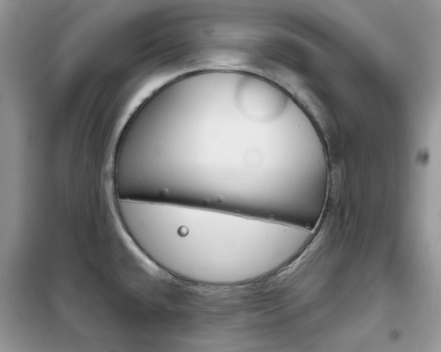 X0000102341432200808010902