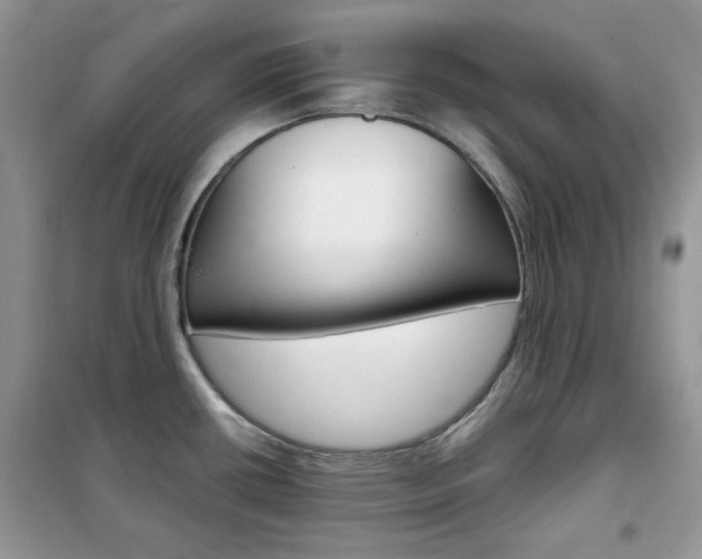 X0000102341434200808010902