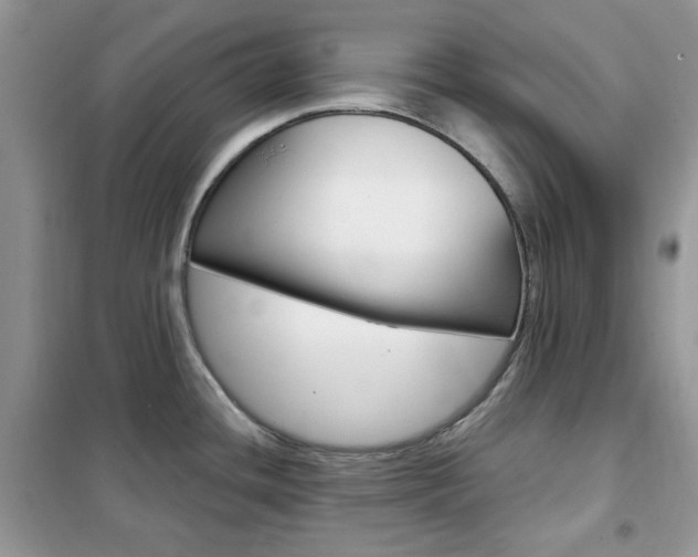 X0000102341436200808010902