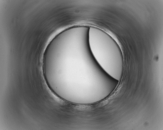 X0000102341437200808010902