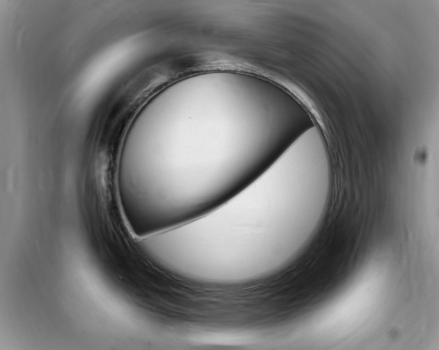 X0000102341438200808010902