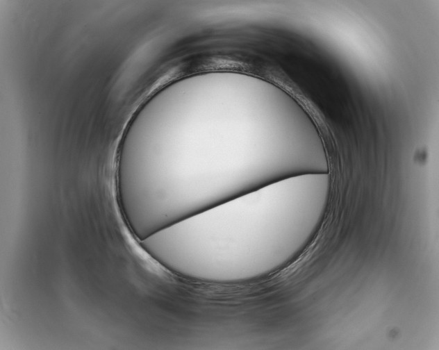 X0000102341439200808010902
