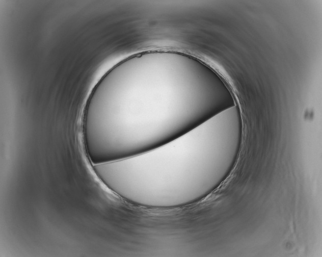X0000102341440200808010902