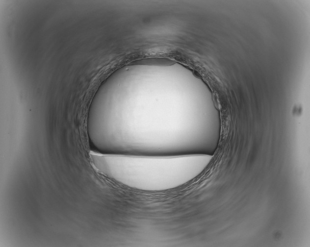 X0000102341441200808010901