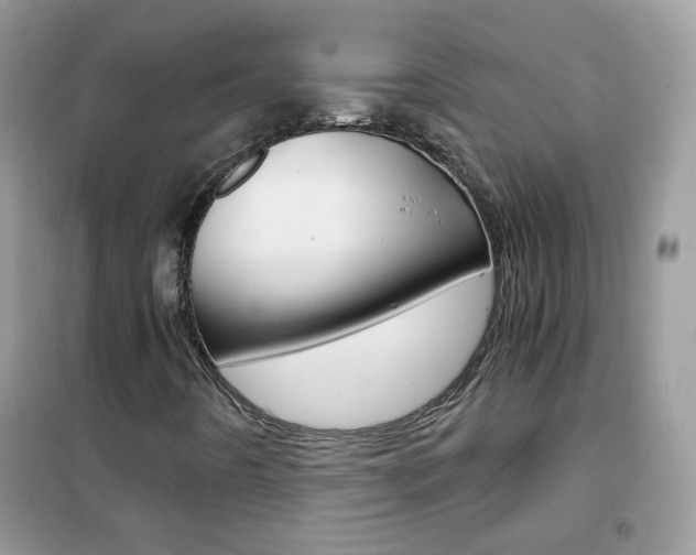 X0000102341442200808010901
