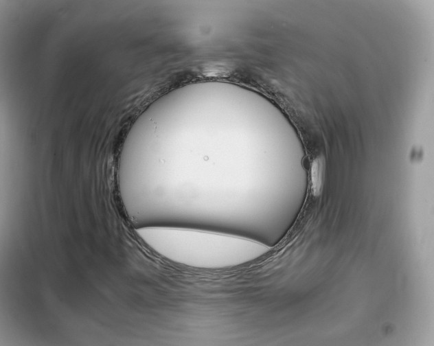 X0000102341443200808010901
