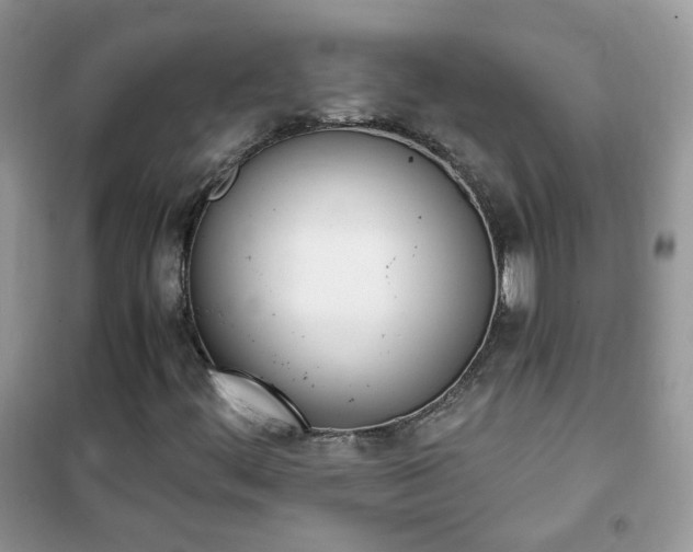 X0000102341444200808010901