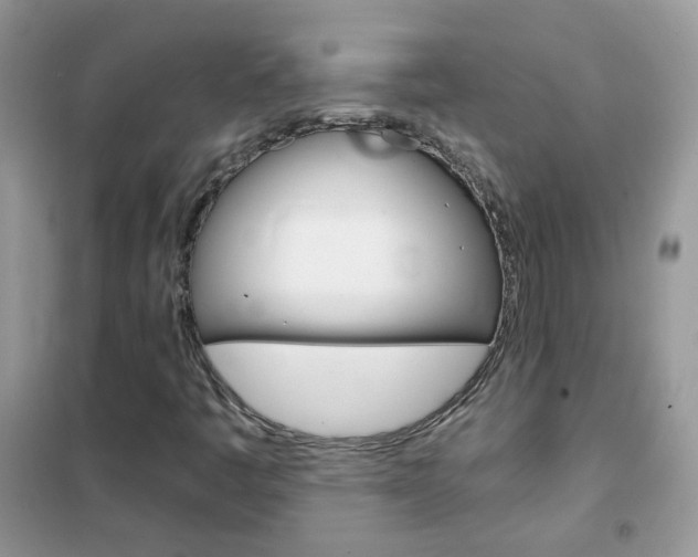 X0000102341445200808010901