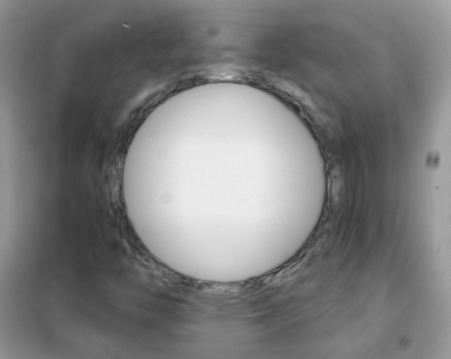 X0000102341446200808010901