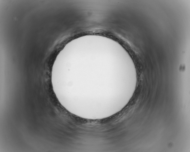 X0000102341447200808010901