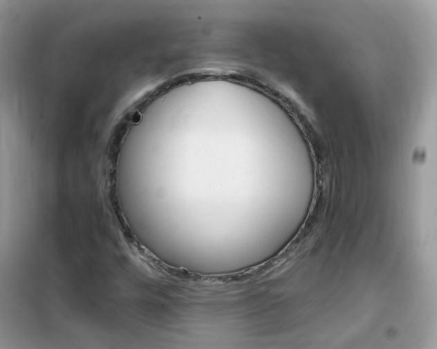 X0000102341448200808010901