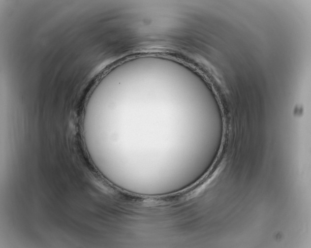 X0000102341449200808010901