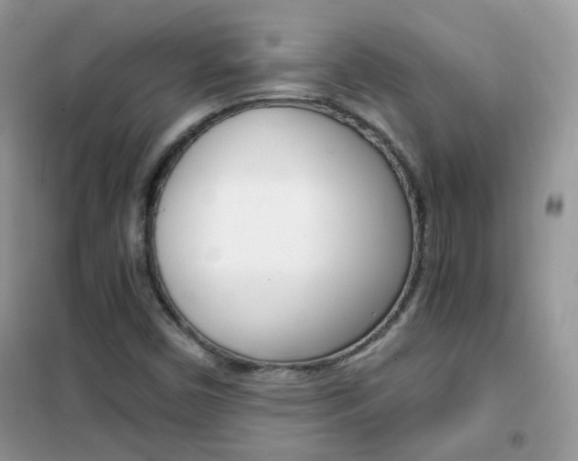 X0000102341450200808010901