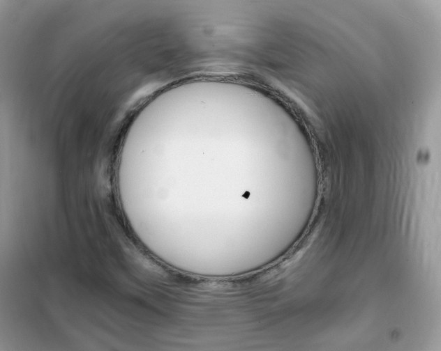 X0000102341451200808010901