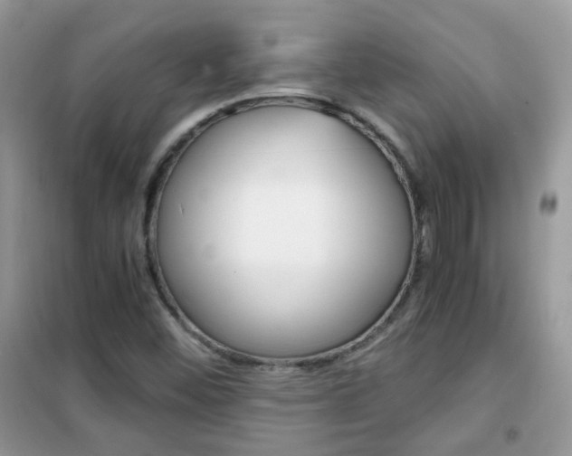X0000102341452200808010901