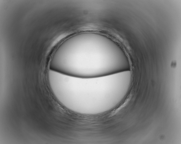 X0000102341453200808010901