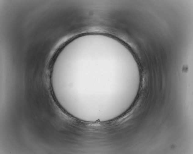 X0000102341454200808010901
