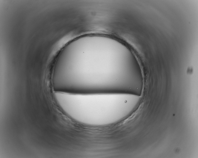 X0000102341455200808010901
