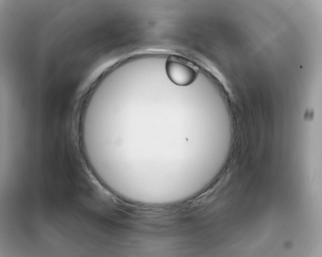X0000102341456200808010901