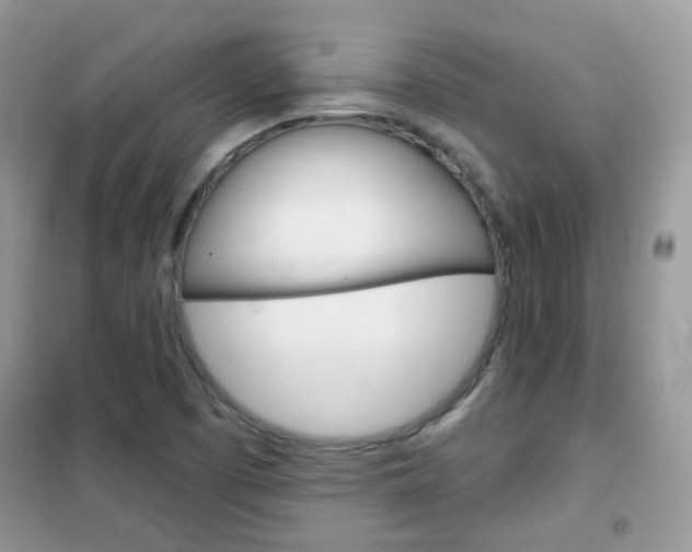 X0000102341457200808010901