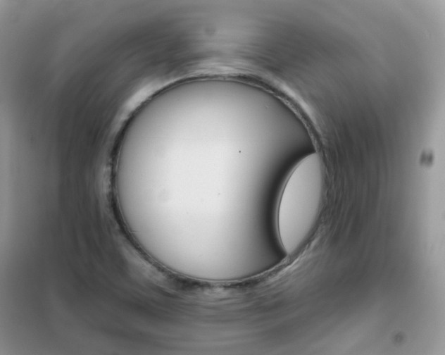 X0000102341459200808010901