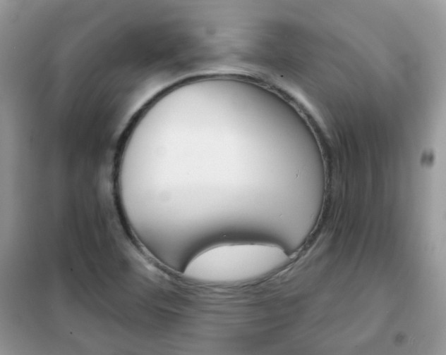 X0000102341460200808010901
