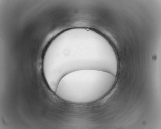 X0000102341461200808010901